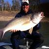 A 26lb Drum I caught on 3.7.2013.